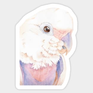 Goffin Tanimbar corella cockatoo watercolor portrait parrot name Buckley V2 Sticker